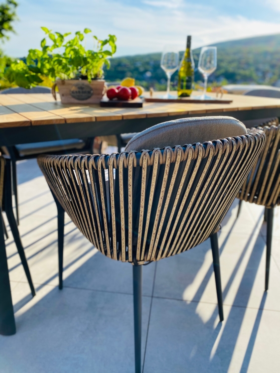 IMG_1634_InPixio Mauritius dining chair - Gunmetal - Image 6