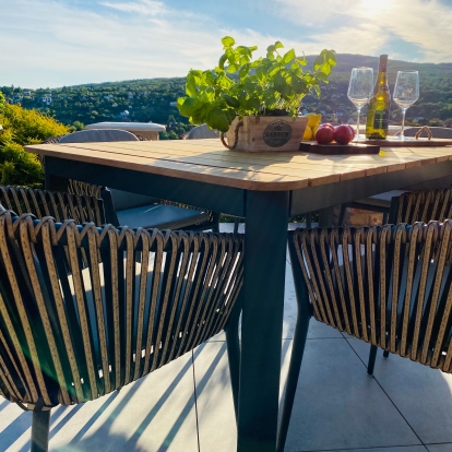 IMG_1640_InPixio Mauritius dining chair - Gunmetal - Image 3