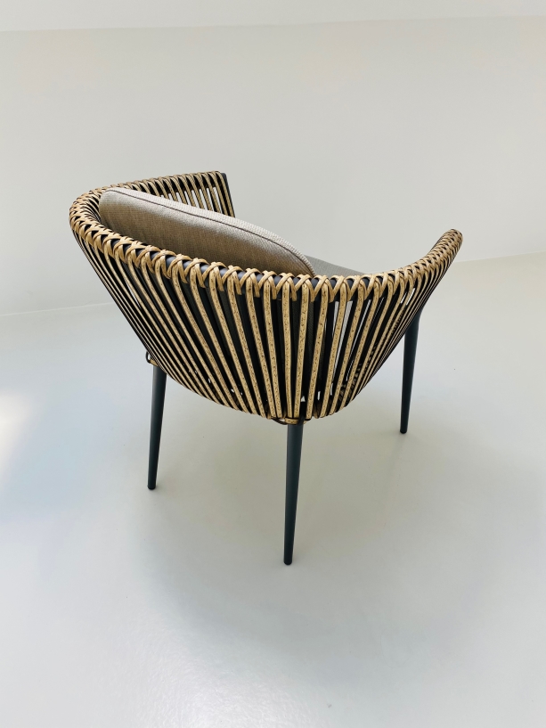 IMG_1763_InPixio Mauritius dining chair - Gunmetal - Image 9
