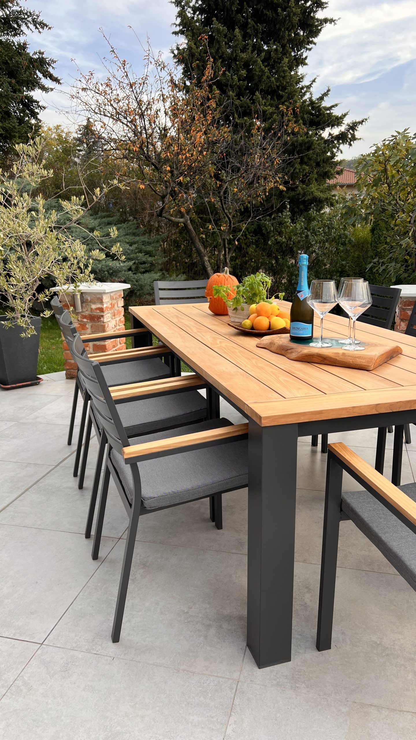 IMG_2238 Tallin Aluminium - TEAK wood dining set - 9 pieces - Image 9